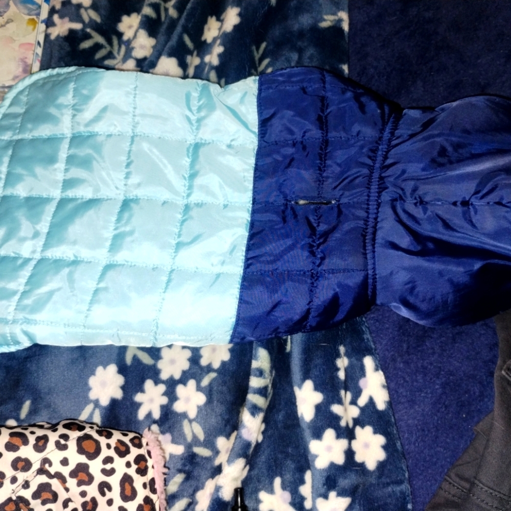 Dog Coat
